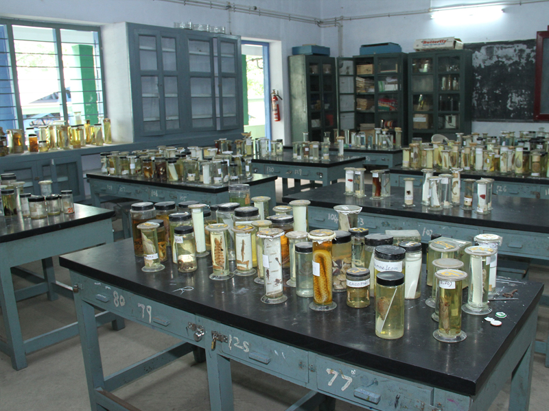 ZOOLOGY LAB